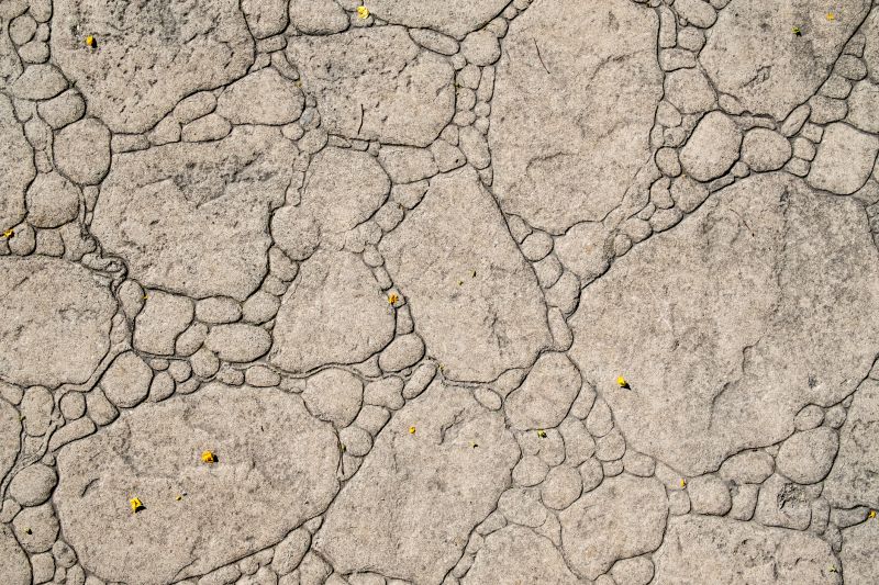 Decorative Concrete Repair in Arlington, VA